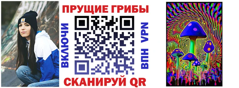 блэк спрут как войти  Кондопога  Галлюциногенные грибы GOLDEN TEACHER 