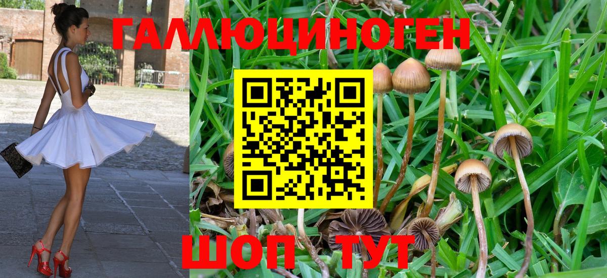 Псилоцибиновые грибы мухоморы  дарнет шоп  Галлюциногенные грибы мухоморы  Кондопога  Вход с VPN 