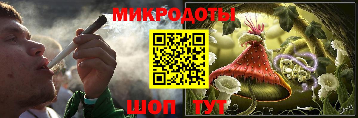 Галлюциногенные грибы Cubensis Кондопога